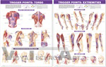 Trigger Point Anatomical Chart Set: Torso & Extremities, 2nd Edition